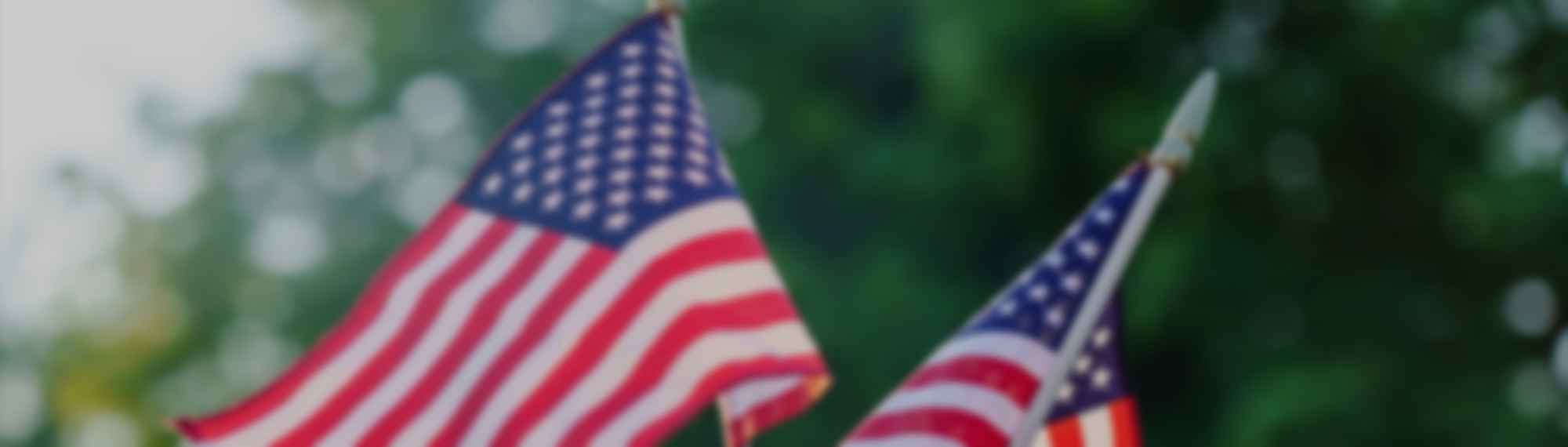 American flags with blurred green background.