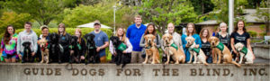 People with guide dogs in training outdoors.
