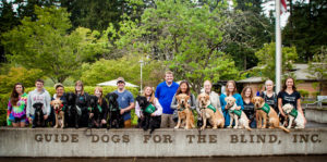 People with guide dogs in training session.